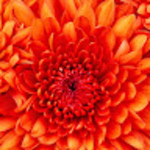 Meet your Posher, Markita